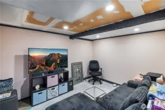 bonus room / TV room downstairs