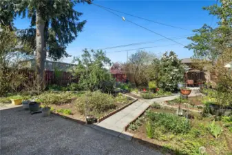 gorgeous garden with paths