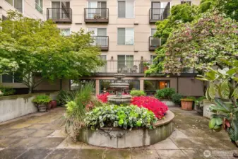 Center garden area