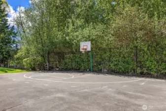 Basketball Court
