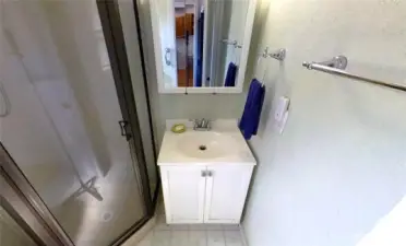 Bath sink