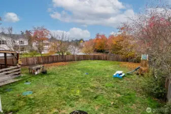 Rear yard with fruit trees