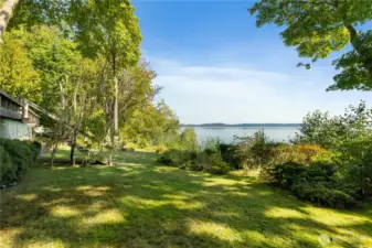 well kept backyard with old growth trees, lawn, fruit trees and sprinkler system