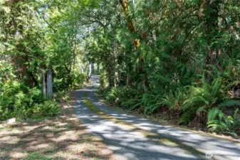 Private road accesses your own exclusive retreat, surrounded by natures beauty
