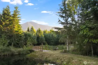 Sparkling pond with