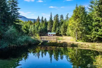 Tucked away in the evergreens, this little cabin rests quietly on the edge of a sparkling pond