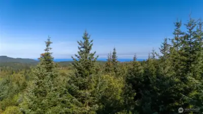 Looking towards straight of Juan de Fuca from build site area
