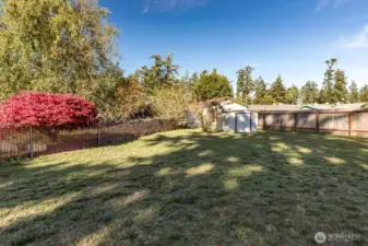 Large fenced backyard with shed and room for Accessory Dwelling Unit.