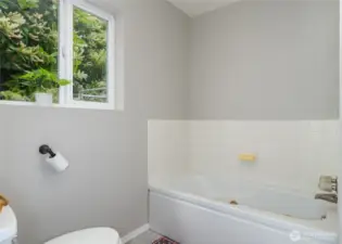downstairs separate bathtub
