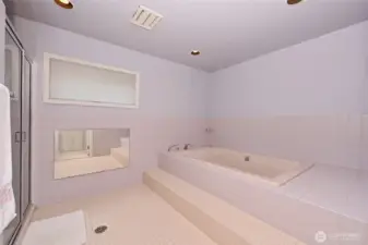 While there’s a large hot tub in the basement, the primary features a beautiful Japanese-style soaking tub for a more tranquil and private experience.