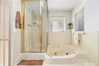 Jacuzzi tub with shower.