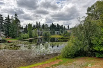 View from deck
