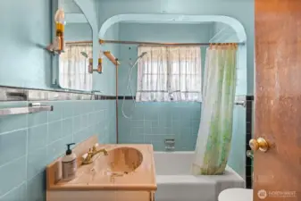 Original MCM Bathroom Title