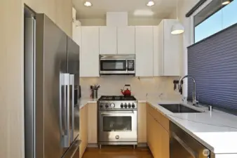 Chef's kitchen with high end appliances.