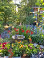 Vibrant colors bursting in the back yard in Spring and Summer.  It is truly a gardener's paradise!