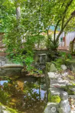 Tranquil Koi Pond with waterfall.