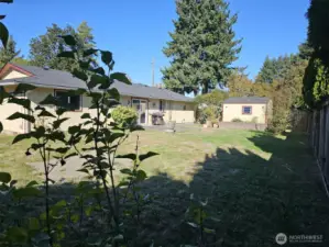 Another view of the backyard from a different corner.
