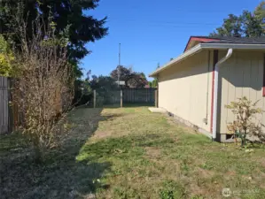 South side yard.