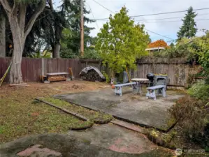 Good size flat & low maintenance backyard