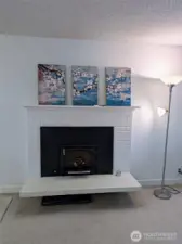 Wood burning fireplace stove on the main floor, very efficient