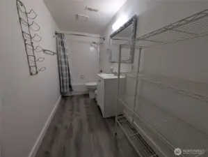 Full bath off flex bonus room on lower level