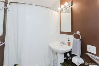 Bath/shower in the bathroom.