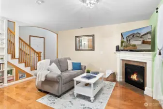 Family Room with fireplace.