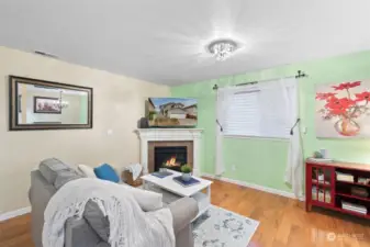 Family Room with fireplace.