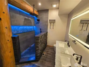 Main Floor Primary Bathroom