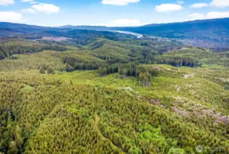 Aerial Views