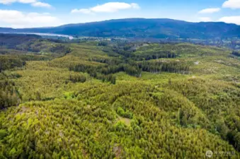 Aerial Views