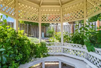 Gazebo for private talks or wedding??