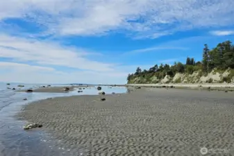 Point Whitehorn Beach
