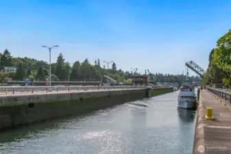 Walking distance to the Ballard Locks.