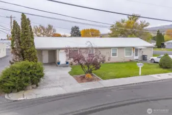 Sidewalks and close proximity to stores allows for easy commutes of varying methods.