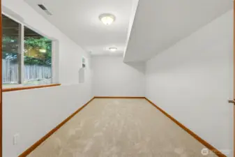 BONUS ROOM LOWER LEVEL