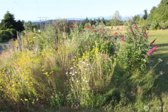 SPRING / SUMMER BLOOM