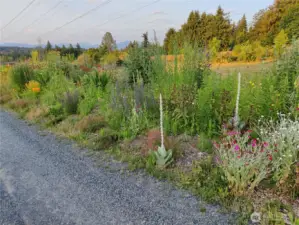 SPRING / SUMMER BLOOM