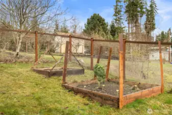 Raised Beds, currently winterized
