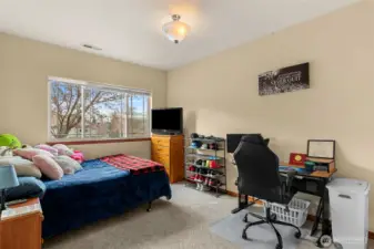 Bedroom #4 Lower Level