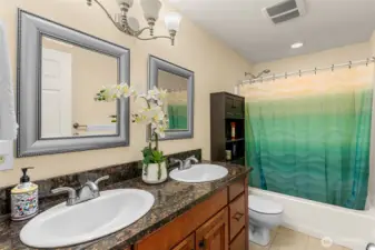 Full Bathroom Lower Level