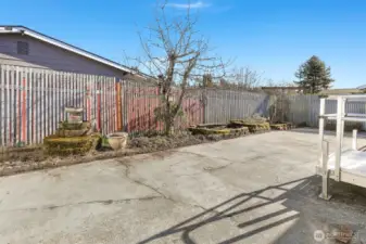 Private back patio and courtyard with southern exposure