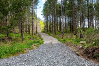 Driveway coming off of Academy Highlands Dr