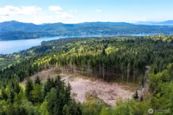 Aerial view building site