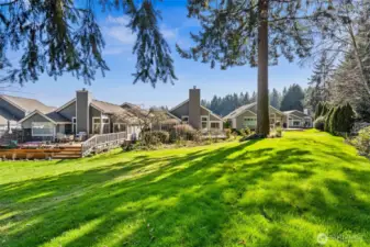 Backyard is gorgeous