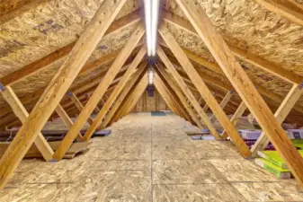 Garage Attic - South View