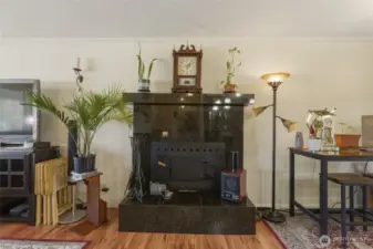 Wood burning fireplace