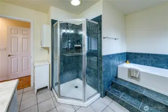 Primary Bath - Separate Bathtub and Shower