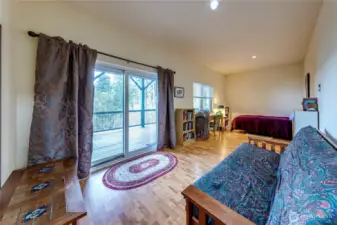 Lower Level Family Room