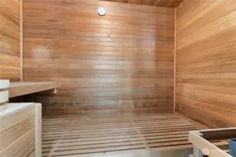 Sun Room With Sauna Off Primary Suite